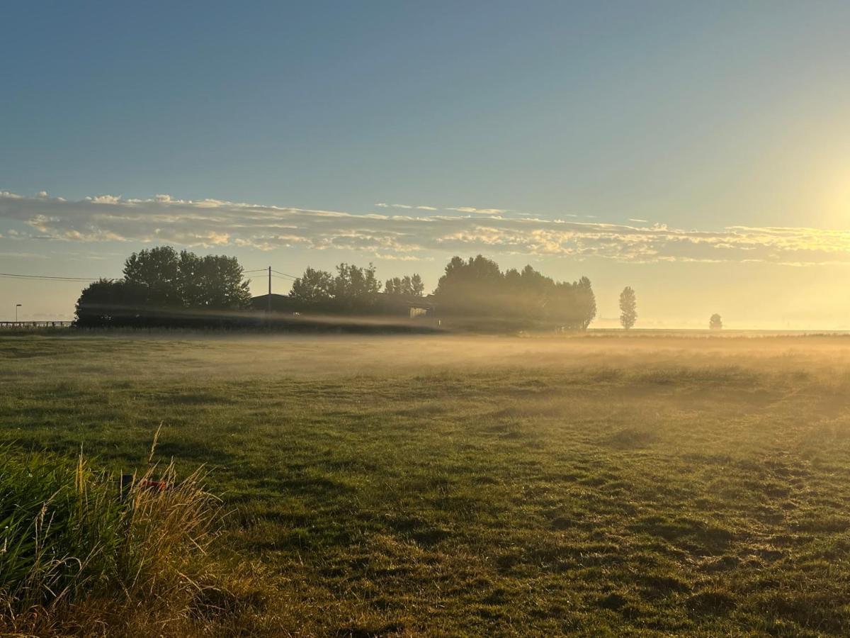 Kamille * Middelkerke