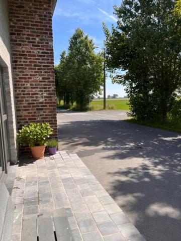 Kamille * Middelkerke